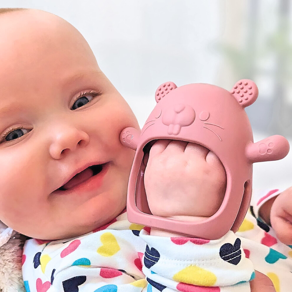 Teething Toys For Baby - Baby Teether, New Infant Silicone Chipmunk Teether Mitten Baby Teething Glove Prevents Finger Sucking, Teethers For Infatot