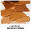 Rimmel Multi Tasker Concealer, 110 Coconut 10
