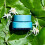 Clarins HYDRA ESSENTIEL crème hydratante SPF15 50ml 4