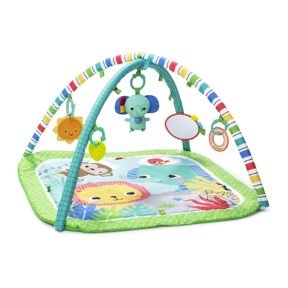 Wild Wiggles Baby Activity Gym & Play Mat with Taggies, Newborn and up - Green, 18.5x29.1x29.1 Inch