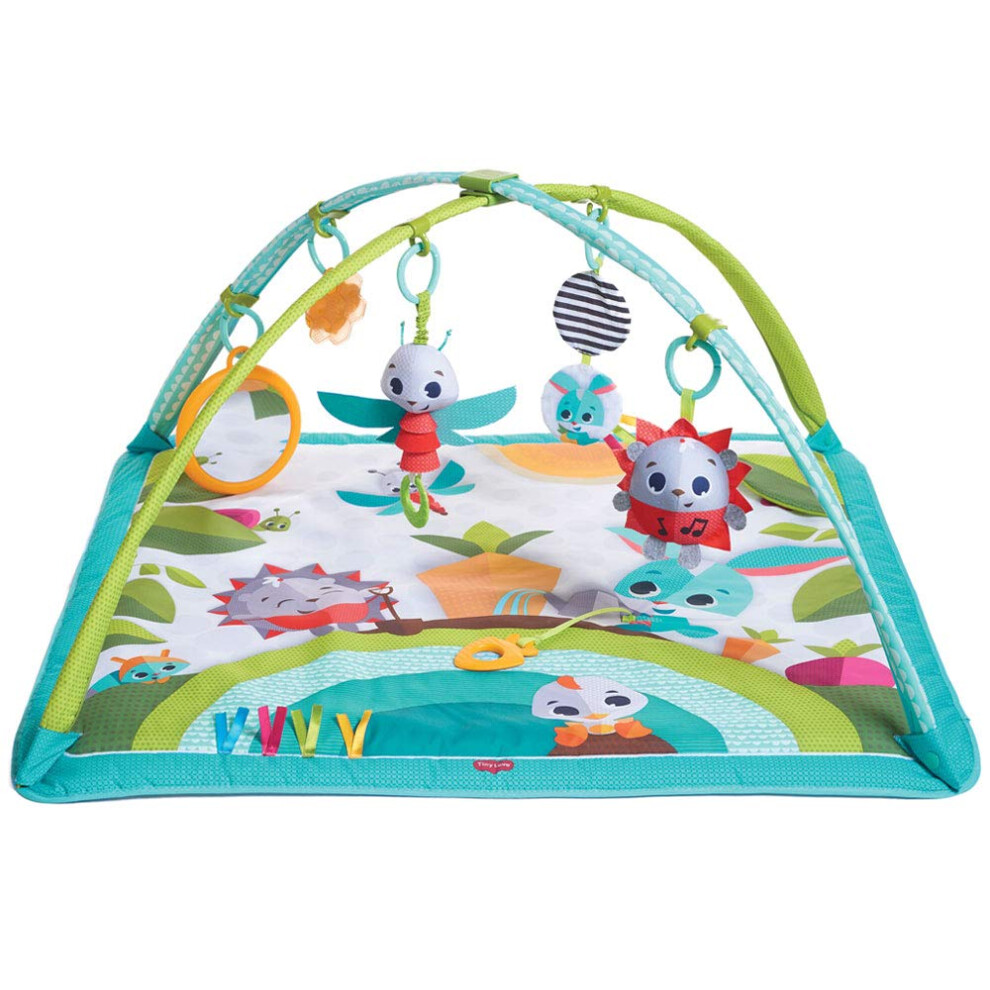 Gymini Sunny Day, Musical Baby Play Mat And Newborn Activity Gym, Suitable From Birth, 0M +, 85 X 75 X 45, Meadow Days Multi, 3333120171