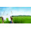 Expression A4 90gsm Paper - Box of 5 Reams (5x500 Sheets) 3