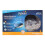 Pabobo Aqua Dream Dynamic Whale Projector, 4.0 Unité 15