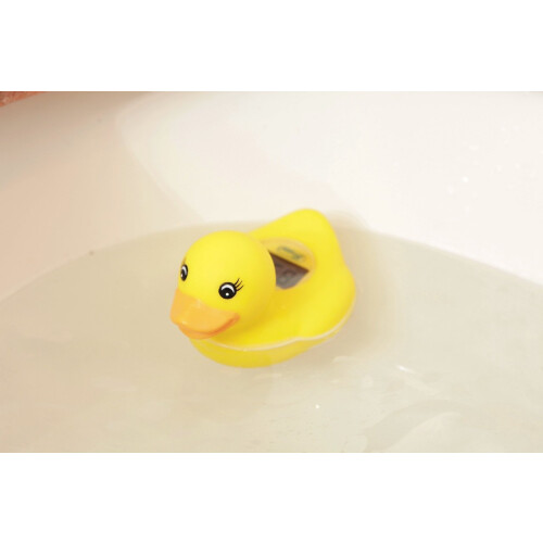 G321 Duck Room Thermometer 1