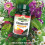 Natures Aid Vitamin D3 1000iu, 180 Tablets 7