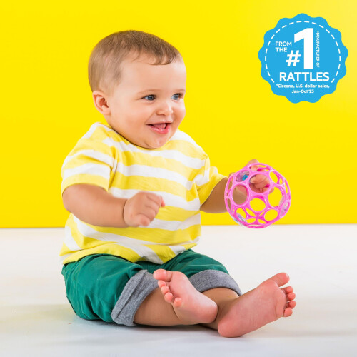 Bright Starts Oball Rattle Easy-Grasp Toy - Pink, Ages Newborn+ 1