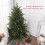 Homcom HOMCOM 5 Ft Artificial Christmas Tree with Metal Base, Hinged Branches 3