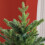 Homcom HOMCOM 5 Ft Artificial Christmas Tree with Metal Base, Hinged Branches 7