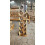 12 bottle wine rack solid wood 2