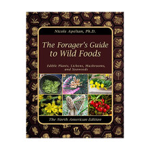 Herbal Explores The Effective But Often Unconventionals Herbal Remedies Of North America'S Untapped Past