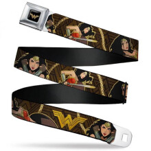 Wonder Woman 839306 Wonder Woman 2017 Icon with Lasso of Truth Seatbelt Belt