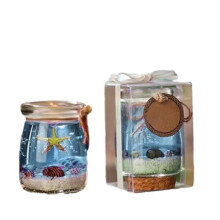 (A) Ocean Beach Scented Candles Single-Wick Aromatherapy Ocean Gel Candle With Shell For Home room table decor Relief Relaxation