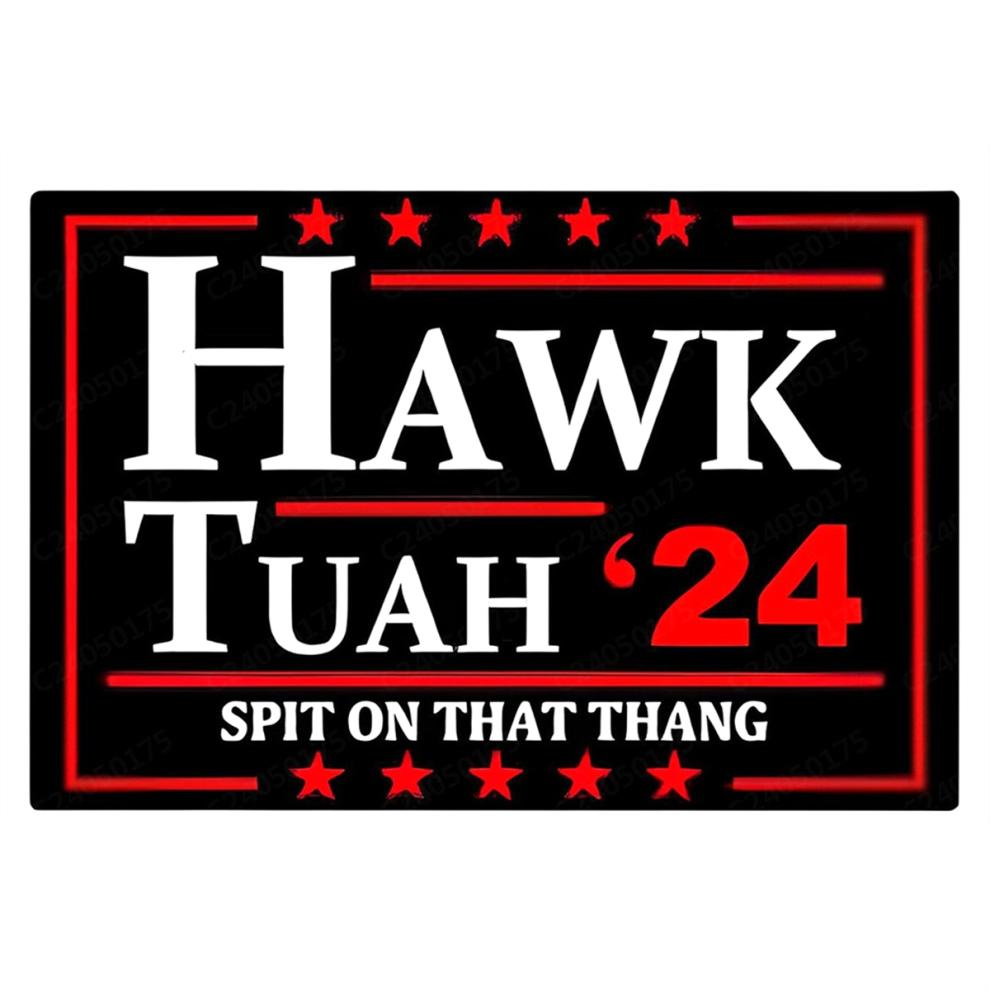 Hawk Tuah Spit On That Thang, Funny Bumper Sticker B 4851267484074