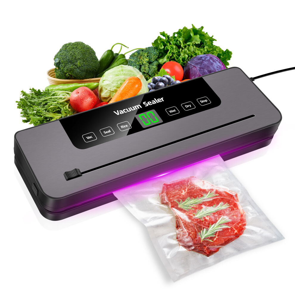 Vacuum Food Sealer Automatic Manual Vacum Sealer Dry Wet Pack Machine 10pcs Seal Bags