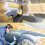 Paint Protection Paper - Paint Surfacee Protection Bulk Film Roll 4
