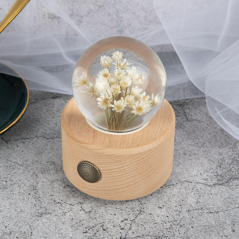 ( Chrysanthemum) Dandelion Flower Crystal Glass Resin Lens Ball With Bracket Mother Gift Christmas Gift For Guests, Girlfriends And Children White