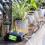 Solar Timed Automatic Watering Device, Smart Watering Device 7