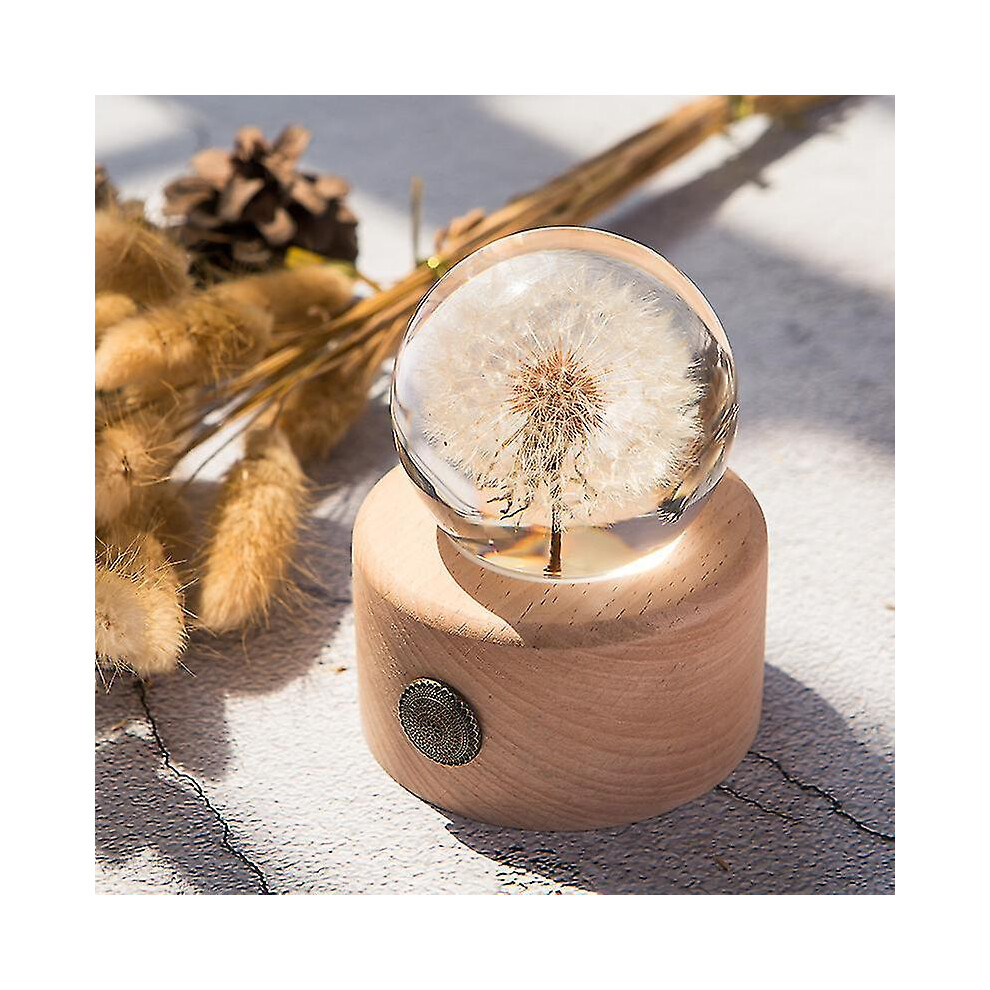 (Night ) Dandelion Flower Crystal Glass Resin Lens Ball With Bracket Mother Gift Christmas Gift For Guests, Girlfriends And Children Light