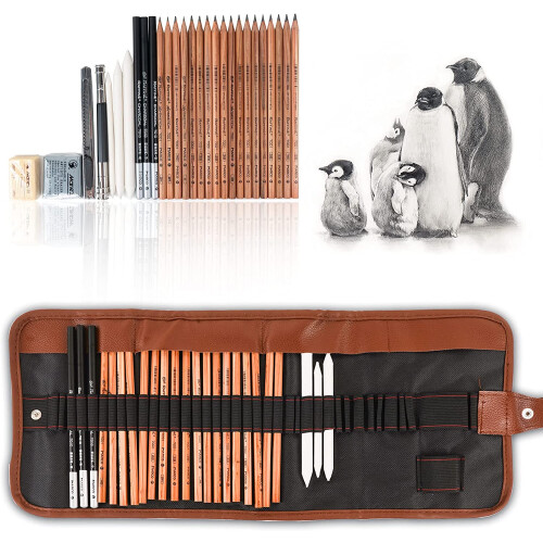 29-Piece Professional Sketching and Drawing Art Tool Kit - (without sketchbook)