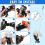 Portable Pool Vacuum Cleaner for Above Ground Pools, Spa 3