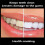 Anti-Smoking Cessation Filter, Efficient Disposable Tobacco Cigarette Filter, Multi-Filtering Anti-tar Filter Tips 7