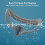 For DJI Avata Goggles 2 PULUZ Flying Eye Mask Silicone Protective Case (Grey) 8