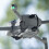 DJI Original DJI Cellular 2 Mounting Kit For Mini 4 Pro Drone Accessories 6