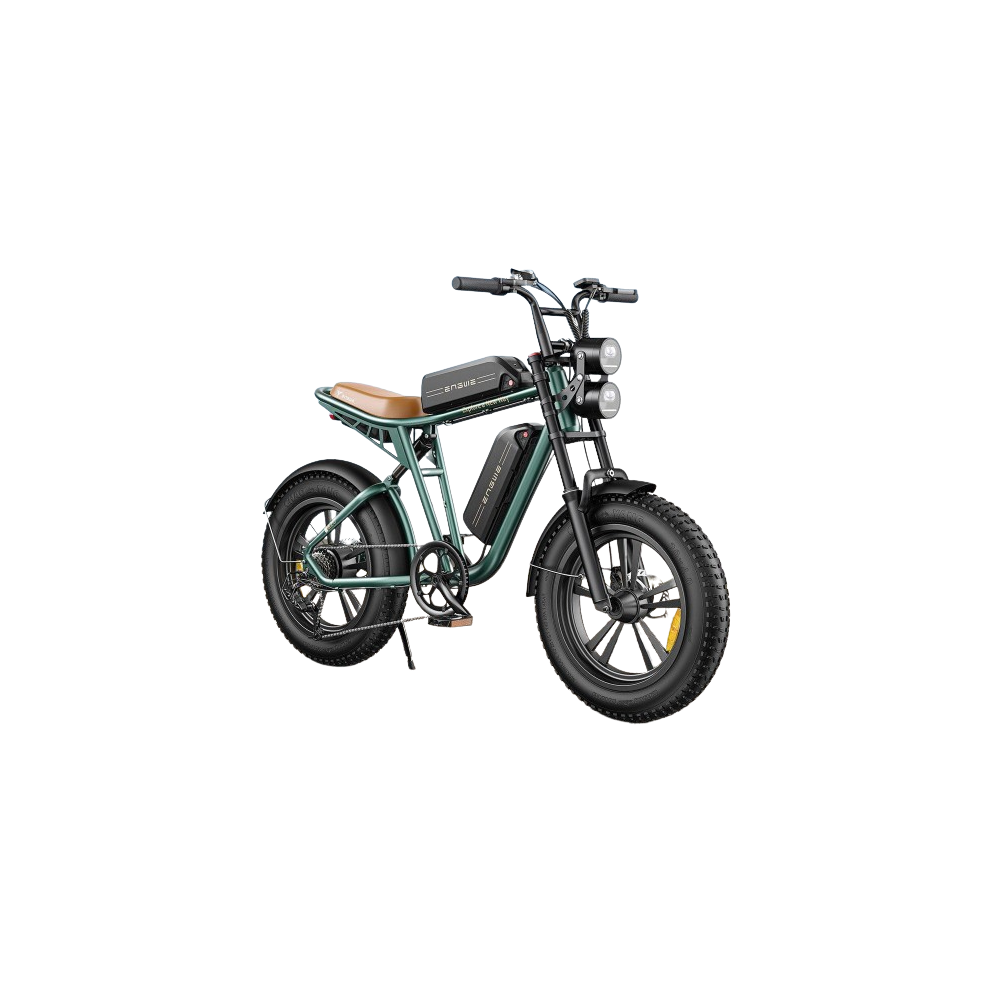 (GREEN DUAL) ENGWE M20 Electric Bike 750W 25KM/H (Adults), 13AH