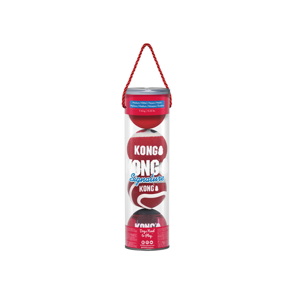 Kong Signature Balls 4-Pk Assorted Md