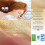 (King) Glamhaus Luxury Mattress Topper 10