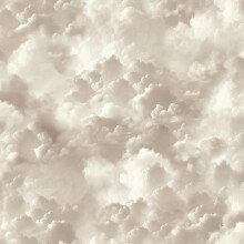 Arthouse Vanilla Skies Neutral Wallpaper Clouds Modern Contemporary Feature Wall