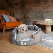 AllPetSolutions Alfie Brown Soft Dog Bed Large 75x55x23cm