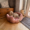 AllPetSolutions Alfie Pink Soft Dog Bed Medium 57x52x22cm 6
