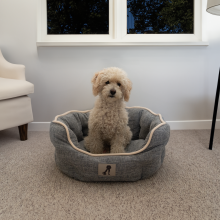 AllPetSolutions Alfie Soft Dog Bed Grey  - Size Large 75x55x23cm