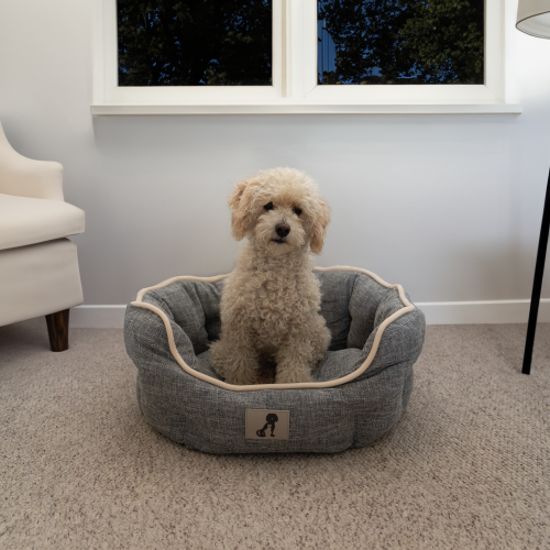 AllPetSolutions Alfie Soft Dog Bed Grey - Medium 57x52x22cm