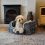 AllPetSolutions Alfie Soft Dog Bed Check - Size Small 45x40x21cm 1