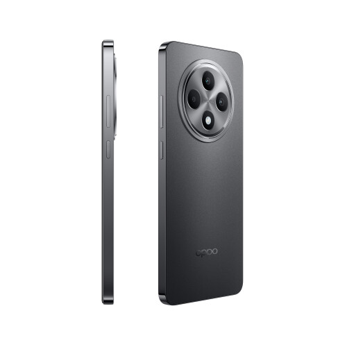 OPPO OPPO Reno12 F 8 Go/256 Go Gris (Matte Grey) Double SIM 2