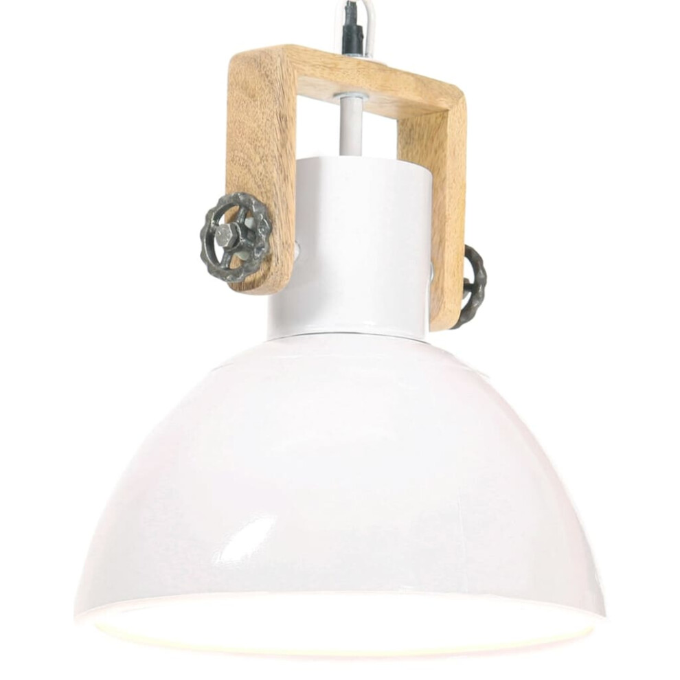 Vidaxl (White, 30 Cm) Industrial Hanging Lamp 25 W Round E27 Light Multi Colours Multi Sizes