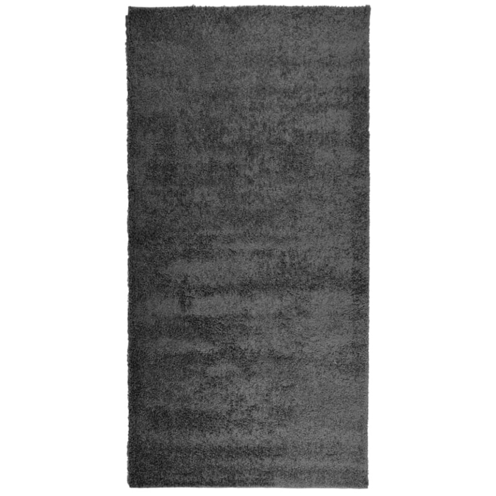 (anthracite, 100 x 200 cm) vidaXL Shaggy Rug Floor Mat Fluffy Rug Area Rug PAMPLONA High Pile Modern