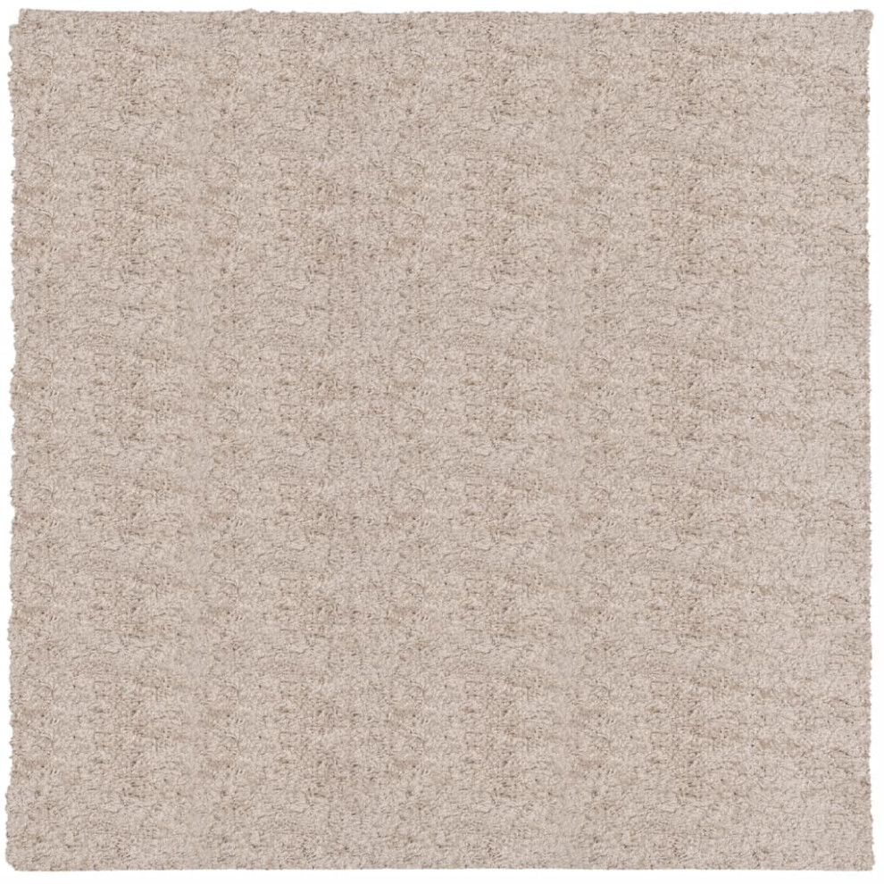 (beige, 120 x 120 cm) vidaXL Shaggy Rug Floor Mat Fluffy Rug Area Rug PAMPLONA High Pile Modern