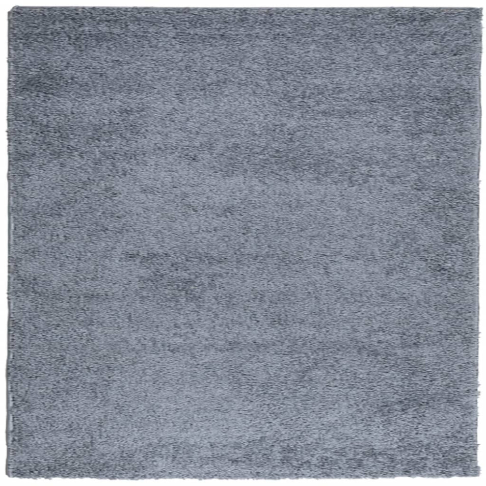 (blue, 120 x 120 cm) vidaXL Shaggy Rug Floor Mat Fluffy Rug Area Rug PAMPLONA High Pile Modern