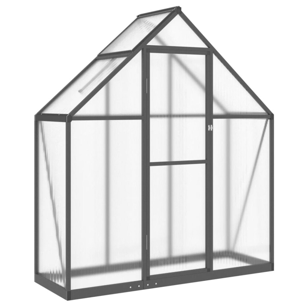 (anthracite, 169 x 58 x 195 cm) vidaXL Greenhouse with Base Frame Garden Walk in Plant Grow House Aluminium