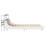 VidaXL vidaXL Bed Frame with Headboard White 120x190 cm Small Double Solid Wood Pine 5