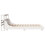 VidaXL vidaXL Bed Frame with Headboard White 150x200 cm King Size Solid Wood Pine 5