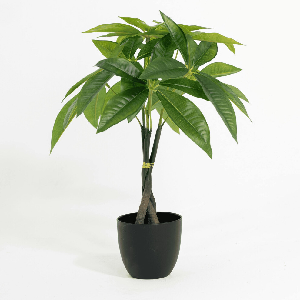 Potted Artificial Pachira - Indoor Fake Money Plant