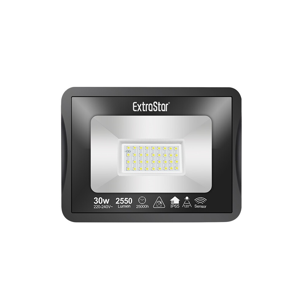 30W LED Flood Light with Microwave Motion Sensor COLD LIGHT