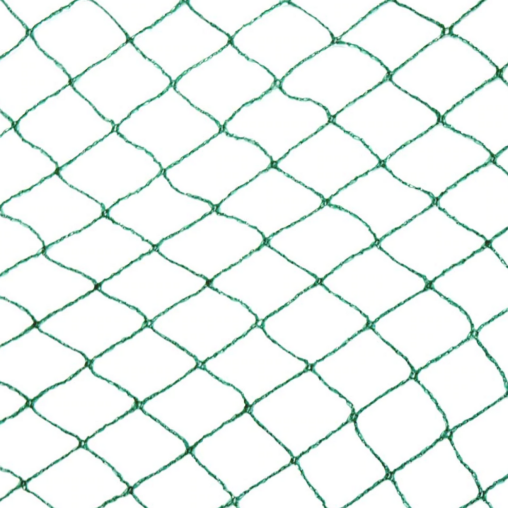 Yuzet (6M X 10M) Anti Bird Netting Plant Protection Fruit Veg Fish Pond Debris Garden Net