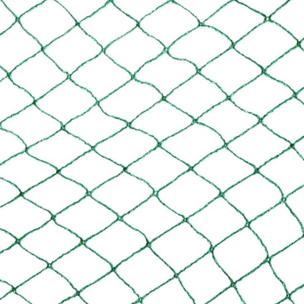 (10m x 10m) Yuzet Anti Bird Netting Plant Protection Fruit Veg Fish Pond Debris Garden Net