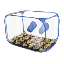 Still Air Box, Mycology Fume Hood Propagation Stations Pop Up Mushroom Grow Tent Kit, 2 Arm Ports, Portable Mushroom Growing Container for Spores