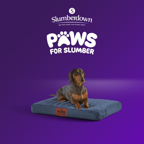 Slumberdown (Navy, Small) Orthopaedic Pet Bed 2